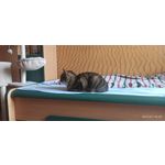 用戶照片 Redmi Note 8 Pro