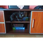 用戶照片 Redmi Note 8 Pro