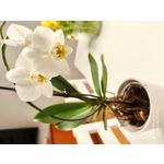 用戶照片 Redmi Note 8 Pro