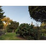 用戶照片 Redmi Note 8 Pro