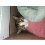 用戶照片 Redmi Note 8 Pro