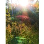 用戶照片 Redmi Note 8 Pro