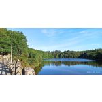 用戶照片 Redmi Note 8 Pro