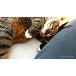 用戶照片 Redmi Note 8 Pro