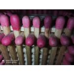 用戶照片 Redmi Note 8 Pro