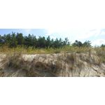 用戶照片 Redmi Note 8 Pro