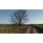 用戶照片 Redmi Note 8 Pro