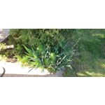 用戶照片 Redmi Note 8 Pro