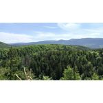 用戶照片 Redmi Note 8 Pro