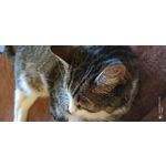 用戶照片 Redmi Note 8 Pro