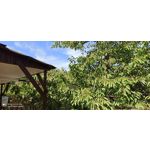 用戶照片 Redmi Note 8 Pro