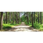 用戶照片 Redmi Note 8 Pro