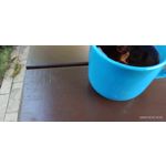 用戶照片 Redmi Note 8 Pro