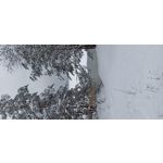 用戶照片 Redmi Note 8 Pro