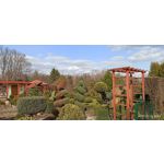 用戶照片 Redmi Note 8 Pro