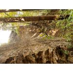 FOTO FATTE CON QUESTO TELEFONO