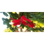 FOTO FATTE CON QUESTO TELEFONO