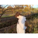 來自這款手機的圖片