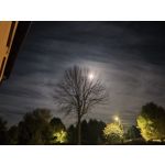 FOTO FATTE CON QUESTO TELEFONO