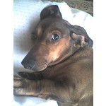 FOTO FATTE CON QUESTO TELEFONO