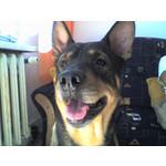 FOTO FATTE CON QUESTO TELEFONO