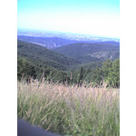 LAS FOTOS HECHAS CON ESTE TELÉFONO