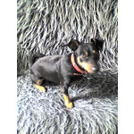 LAS FOTOS HECHAS CON ESTE TELÉFONO