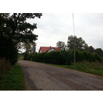 来自这款手机的图片