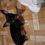 Selbst von Nutzern gemachte Bilder Samsung Galaxy A02