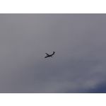 来自这款手机的图片