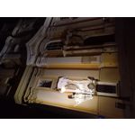 來自這款手機的圖片