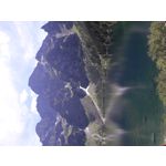 PICTURES FROM THIS PHONE