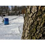 PICTURES FROM THIS PHONE