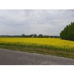 Selbst von Nutzern gemachte Bilder Samsung Galaxy A30s