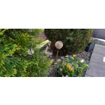 PHOTOS FAITES AVEC CE SMARTPHONE