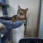 来自这款手机的图片