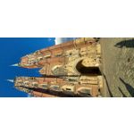 来自这款手机的图片