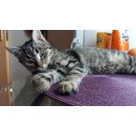 PICTURES FROM THIS PHONE