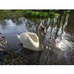 PHOTOS FAITES AVEC CE SMARTPHONE