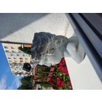 來自這款手機的圖片