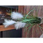 來自這款手機的圖片