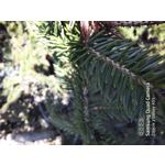 FOTO'S VAN DEZE TELEFOON