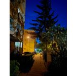 ФОТКИ СНЯТЫЕ ДАННЫМ МОБИЛЬНИКОМ