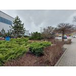 FOTO FATTE CON QUESTO TELEFONO