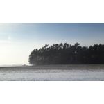 Pictures by this phone Samsung Galaxy A7 2016