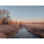 LAS FOTOS HECHAS CON ESTE TELÉFONO