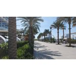 LAS FOTOS HECHAS CON ESTE TELÉFONO