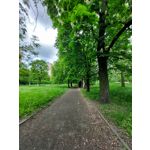 Les photos des utilisateurs Samsung Galaxy A72 Dual SIM