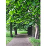 Les photos des utilisateurs Samsung Galaxy A72 Dual SIM