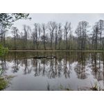 Les photos des utilisateurs Samsung Galaxy A72 Dual SIM